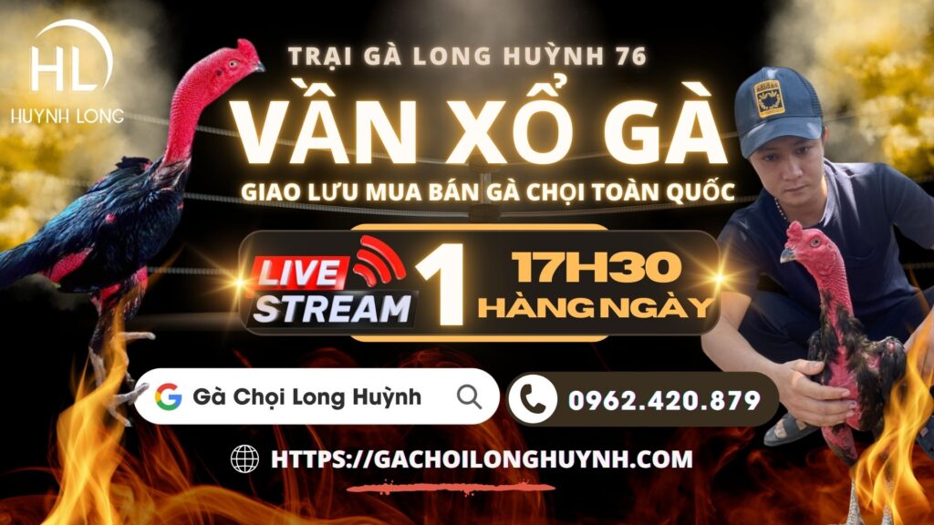 video xem lai ngày 7/8 – CLB Gà Chọi Long Huỳnh – Live 1